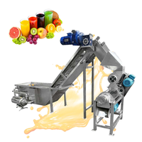 Automatische Fruitlift Wasmachine Molen En Juicer Groente Reiniging Transportband Wasmachine Sapcentrifuge Afzuigmachine Machine