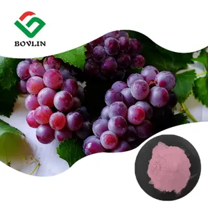 Чистый сыпучий виноградный фруктовый порошок сублимированный красный виноградный сок порошок