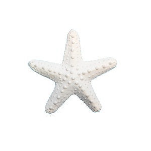 Artesanía en Resina, <span class=keywords><strong>Coral</strong></span> Blanco, Estrella de <span class=keywords><strong>Mar</strong></span> Hecha a Mano y Pintada a Mano, Figura en Forma de Estrella de 16x16x4cm para Decoración <span class=keywords><strong>del</strong></span> Hogar - Product Image 1