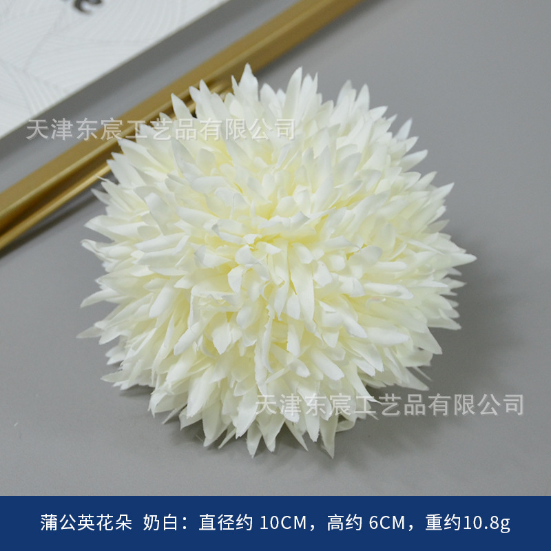 Dandelion flowers, milky white