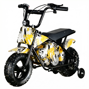 MAXSPEED - Motocicleta de Cross 250DH Más Vendida, Motor de Escobillas de 500 W, Batería de Plomo-ácido de 36 V, Mini Motocicleta Económica de Alta Calidad para Principiantes, 500 W/800 W/1000 W - Product Image 3