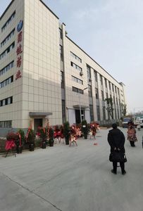 प्रोबायोटिक्स 120 कैप्सूल पूरक पाचन और प्रतिरक्षा स्वास्थ्य घुलनशील फाइबर शाकाहारी ग्लूटेन-मुक्त - Product Image 6