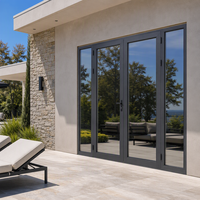 Porte en verre et aluminium sur mesure pour maison, jardin, villa, hôtel, bureau, magasin, entrée extérieure, patio, résidence moderne