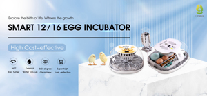 Wonegg New Hot Bán M16 Mini lồng ấp trứng hoàn toàn tự động gà lồng ấp và nở máy - Product Image 4