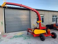 Promotion : Machine à ensilage de maïs à double rangée, hacheuse de fourrage pour tracteur avec prise de force (PTO), moteur et boîte de vitesses, pour toutes les herbes et le maïs