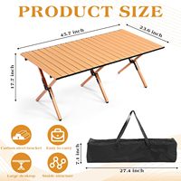 Table de camping pliante avec sac de transport, légère, en acier au carbone, pour pique-nique, plage, terrasse