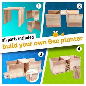 Rivajam Xây Dựng Một Bee Nhà Trồng Hộp Nhà Máy Kit Cho Trẻ Em Làm Vườn Cho Trẻ Em Gỗ Thủ Công Mỹ Nghệ Bộ Dụng Cụ Dự Án - Product Image 3