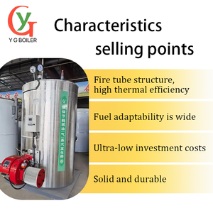 YG Lhg Loạt Mini Máy Phát Điện Hơi Nước Dọc Ống Nước Thiết Kế Cho Nhà Sử Dụng Điện Nhiên Liệu Áp Suất Thấp Cho Sinh khối Pellet Than - Product Image 6