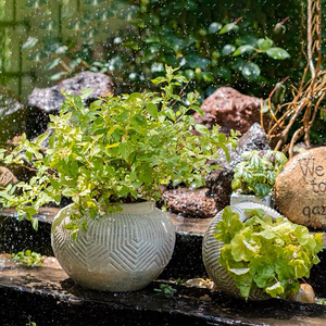 Macetas <span class=keywords><strong>de</strong></span> <span class=keywords><strong>cactus</strong></span> <span class=keywords><strong>suculentas</strong></span> personalizadas, decoración <span class=keywords><strong>de</strong></span> balcón, minimacetas <span class=keywords><strong>de</strong></span> flores <span class=keywords><strong>de</strong></span> cemento <span class=keywords><strong>y</strong></span> jardineras - Product Image 4