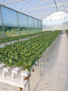 Nouvelle <span class=keywords><strong>gouttière</strong></span> <span class=keywords><strong>de</strong></span> plantation hydroponique <span class=keywords><strong>de</strong></span> jardin vertical agricole pour système <span class=keywords><strong>de</strong></span> culture hydroponique à effet <span class=keywords><strong>de</strong></span> serre tuyau <span class=keywords><strong>de</strong></span> ravin NFT - Product Image 6