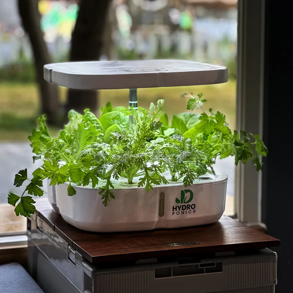 Pépinière d'herbes aromatiques Aero Garden Hidroponica Intelligent System Minigarden Indoor Vegetable Smart Hydroponic Kit