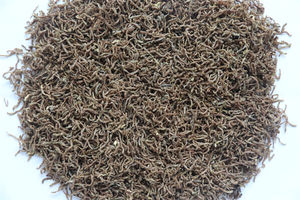 Gusanos <span class=keywords><strong>de</strong></span> <span class=keywords><strong>Sangre</strong></span> Liofilizados, 100% Proteína Natural <span class=keywords><strong>de</strong></span> Pescado, Venta Directa del Fabricante, Alta Calidad, Ecológicos, 3 Años <span class=keywords><strong>de</strong></span> Duración - Product Image 2