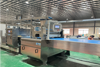 Nouvelle machine de fabrication de biscuits, entièrement automatique, de grande capacité, durs et souples, à saveur végétale, prix Offre Spéciale