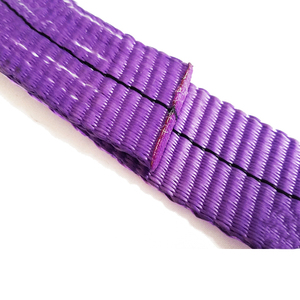 Chất lượng cao 1ton <span class=keywords><strong>30mm</strong></span> 2M tím Polyester vô tận vải <span class=keywords><strong>Sling</strong></span> mềm phẳng dệt một chiều <span class=keywords><strong>Sling</strong></span> để nâng - Product Image 5
