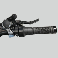 Moto électrique tout-terrain pour adultes avec moteur arrière 72V 40Ah, batterie au lithium, 7 vitesses, vitesse rapide, modèle Ultra Beebike, version UE