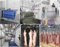Coffre-fort de fonctionnement choc électrique de porc pour l'équipement d'abattage pour l'étourdissement de chèvre de porc pour la machine d'abattoir