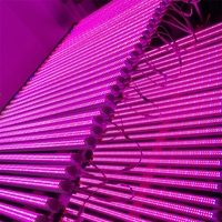 Lux 6ft le 2021 Tube Ir Led élèvent la lumière en aluminium 2.1 Led Tube T8 120cm Uvb/uva 280-290nm élèvent la lumière 120 acceptent l'OEM