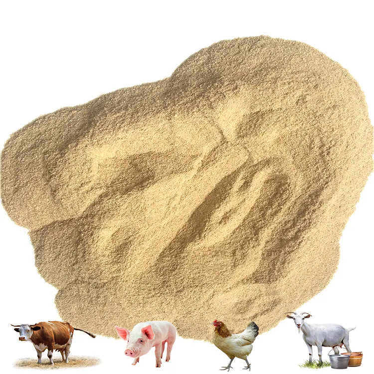 China Animal Feed Promover el crecimiento Polvo de levadura hidrolizada Animal Feed Levadura en polvo 60%