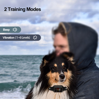 Neu gestaltete Smart 3C elektronische Bildschirm Tone Vibration Dog Anti Bark Collar IP68 wasserdicht wiederauf ladbar