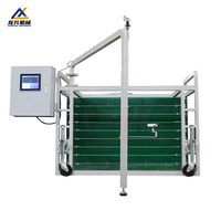 Système automatique de mesure des dimensions corporelles des moutons, stockage intelligent des données, machine de gestion de l'élevage de moutons