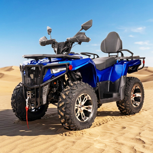 Buggy UTV de 300cc, 4 Tiempos, 4x2, Diésel, con Suspensión Independiente, para Montaña y Pistas Escénicas - Product Image 1