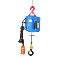 Palans portables à câble métallique 100kg 300kg 500 kg Petit palan électrique 110V 220V Mini palan électrique