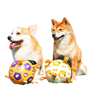 Jouets interactifs pour chiens : cordes de saut, jouets de tirage à l'eau, ballons de football à rayures pour le tirage à l'équerre - Product Image 1