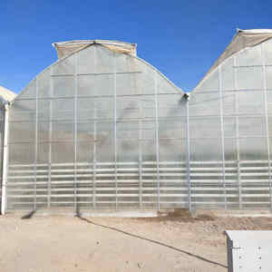 Tecnología <span class=keywords><strong>de</strong></span> invernadero gótico <span class=keywords><strong>de</strong></span> película plástica <span class=keywords><strong>de</strong></span> túneles múltiples para cultivo <span class=keywords><strong>de</strong></span> fresas agrícolas - Product Image 6