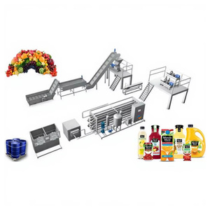 Ligne de production de jus de fruits semi-automatique industrielle ISO 9001/CE, facile à utiliser, très demandée - Product Image 2