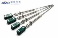 Sonde de température de type S, thermocouple platine rhodium PtRh, 1600°C, double élément, haute précision pour four de laboratoire
