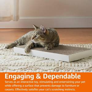 Pour <span class=keywords><strong>Amazon</strong></span> Basics <span class=keywords><strong>carton</strong></span> ondulé <span class=keywords><strong>chat</strong></span> grattoirs blanc pliant Design plume Silicone cuir plastique papier chiens - Product Image 6