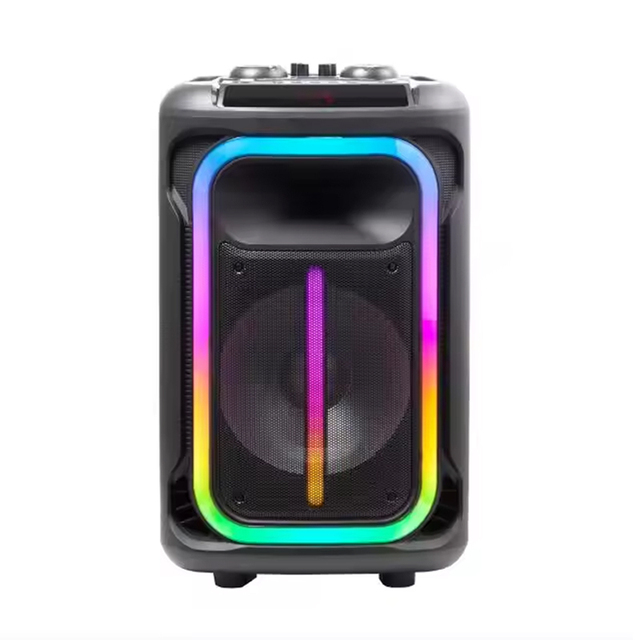 15'' Party 300W Portable Outdoor Party Bass HIFI BT Home Wireless Karaoke Speaker with Microphones