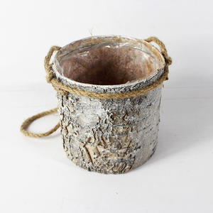 Proveedor al por mayor <span class=keywords><strong>de</strong></span> maceta colgante <span class=keywords><strong>de</strong></span> <span class=keywords><strong>cactus</strong></span> <span class=keywords><strong>y</strong></span> suculenta estilo granja para jardín <span class=keywords><strong>y</strong></span> uso interior - Product Image 5