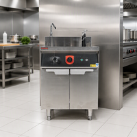 Cuiseur à nouilles électrique en acier inoxydable RKMF-RG166, facile à utiliser, cuisinière à nouilles à six bacs
