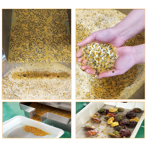 Ligne <span class=keywords><strong>de</strong></span> production d'extraction <span class=keywords><strong>de</strong></span> <span class=keywords><strong>jus</strong></span> <span class=keywords><strong>de</strong></span> fruit <span class=keywords><strong>de</strong></span> la passion, machine <span class=keywords><strong>de</strong></span> transformation pour le nouveau <span class=keywords><strong>jus</strong></span> <span class=keywords><strong>de</strong></span> fruit <span class=keywords><strong>de</strong></span> la passion - Product Image 3