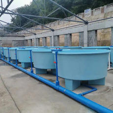 Bassin en PRV de haute qualité pour l'aquaculture, l'élevage de poissons et l'écloserie de crevettes - Product Image 5