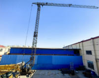 Grue à tour auto-éreignante rapide QTK25 avec capacité de 3 tonnes et boîte de vitesses et moteur - Exportée dans le monde entier