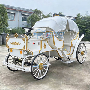 Calèche électrique populaire pour visites touristiques avec capote, calèche classique à toit ouvert et sièges souples pour excursions - Product Image 3