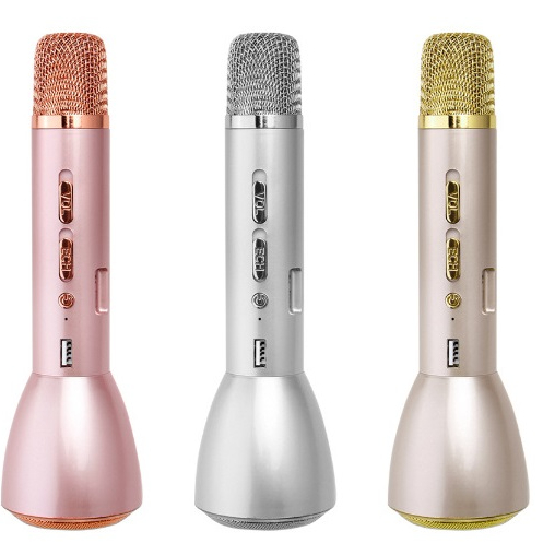 New Karaoke Wireless Microphone Portable Speaker Microphone