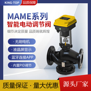 Vanne de régulation électrique KING-TOP avec communication RS485, protection IP54, contrôle proportionnel pour systèmes CVC eau et vapeur - Product Image 5