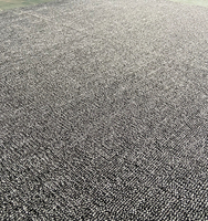 Dalles de moquette commerciales modernes en PP/PVC, tissées à la machine, couleur unie, résistantes aux taches, adaptées aux animaux domestiques, amorties et antidérapantes