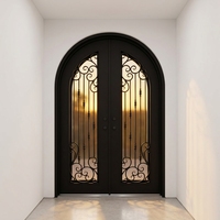 Porte en fer forgé à double arche avec vitrage