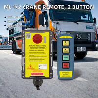 Télécommande radio pour grue industrielle à 2 boutons avec protection antichoc en plastique, résistance à l'eau, 24V DC