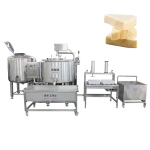 Satılık tam otomatik küçük peynir üretim hattı Mozzarella peynir yapma makinesi