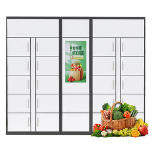 Armario Refrigerado para Almacenamiento de Medicamentos, Frutas Frescas, Verduras, Carne, y Productos Congelados - Product Image 1
