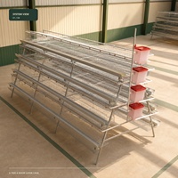 Cage à poules pondeuses de type A à 4 niveaux pour 128 oiseaux, prix de la batterie, cage à volailles pour 128 poules pondeuses, cage à poules pondeuses utilisée dans les élevages avicoles