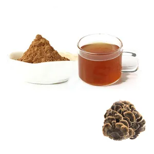 Herb Medicine 100% Natural Mushroom Extract Powder Coriolus Versicolor