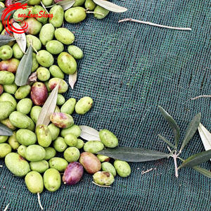 परिपक्व मौसम खेतों में प्रकाश जैतून के लिए कुशल कटाई और चयन - Product Image 3