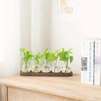 Vase à fleurs tendance, décoration créative pour la maison, vase en verre hydroponique pour table avec base en bois
