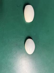 Cristal para Sonda de Ultrasonido en Venta: Cristal para Sonda Convexa, Cristal para Sonda Lineal, Cristal para Sonda de Fase - Product Image 2